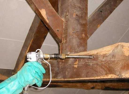 Traitement bois charpente