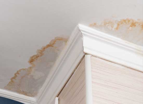 Infiltrations d’eau toiture