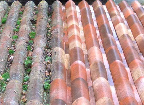 Traitement anti-mousse toiture