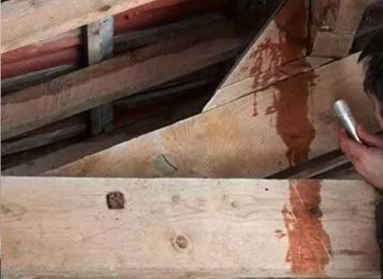 Inspection infiltration toiture