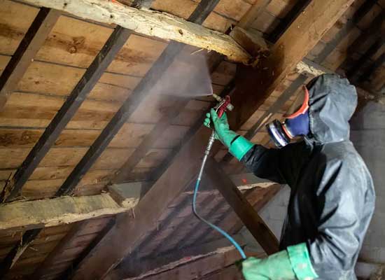 Traitement de charpente